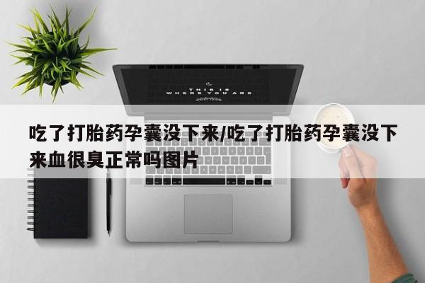 药流药微信吃了打胎药孕囊没下来/吃了打胎药孕囊没下来血很臭正常吗图片